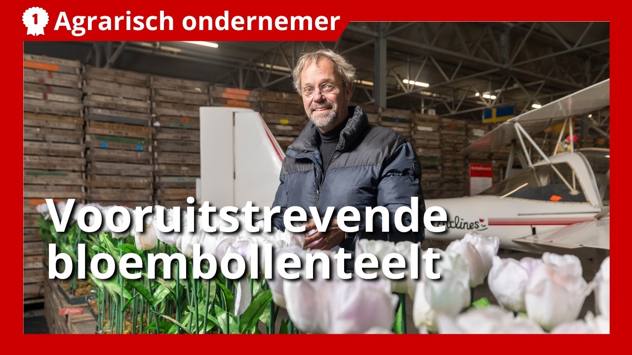 Vooruitstrevend bloembollenbedrijf waar duurzaamheid, innovatie en beleving samenkomen