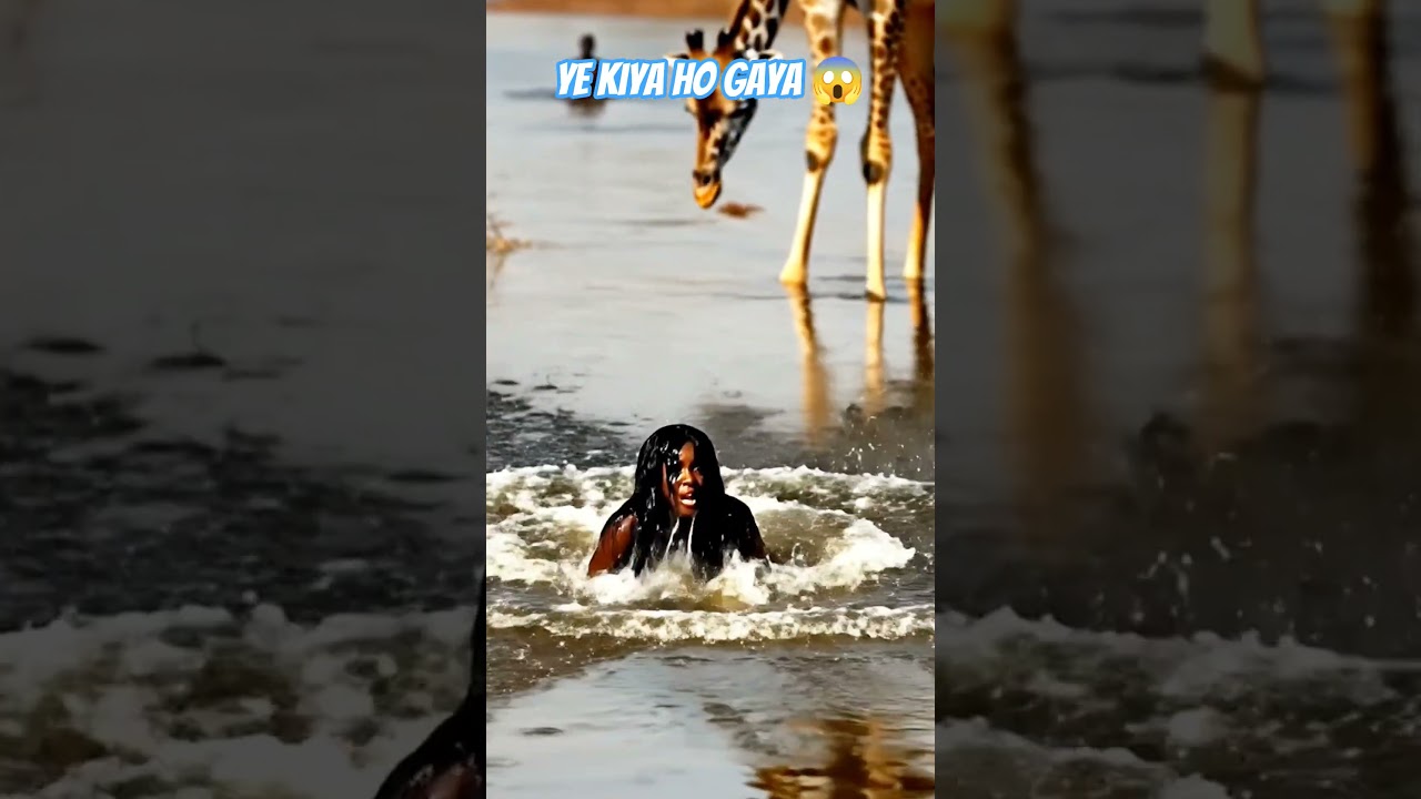 👉 जिराफ ने लड़की को उठाकर नीचे फेंक दिया 😱 | Giraffe Attack Viral