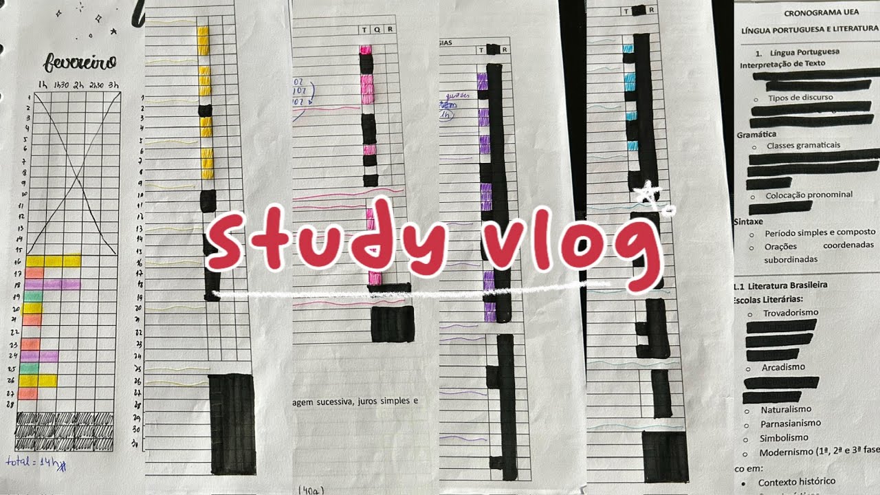study vlog | o que eu estudei nesses dias em fevereiro 