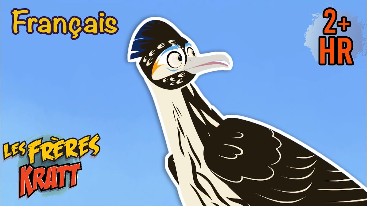 À la poursuite d'un Roadrunner [épisodes complets] Les Frères Kratt