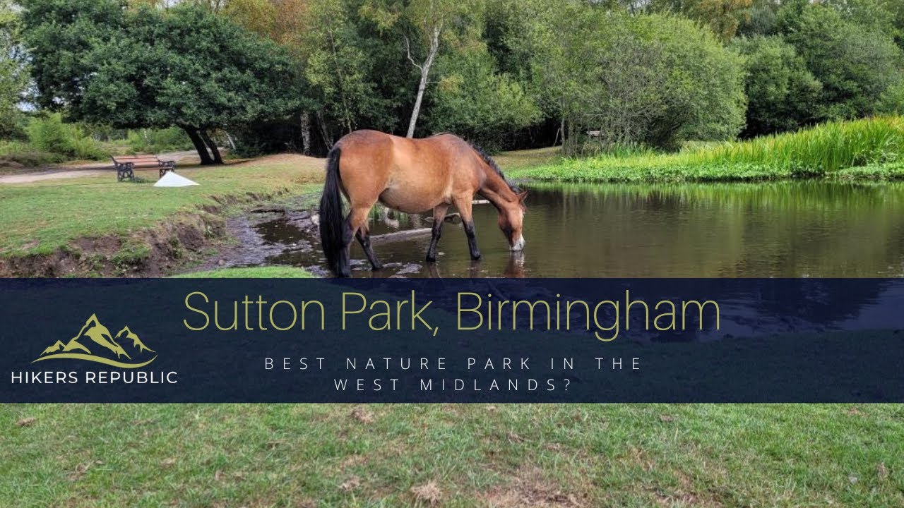 Take a hike in Sutton Park - Best Nature Park in Birmingham - Wild Exmoor Horses