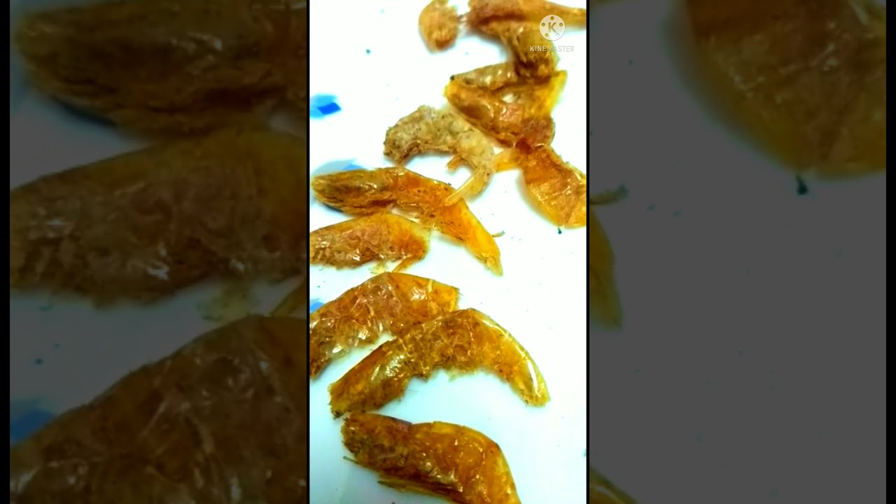 how to clean Dry fish# dry prawns #  ఎండు రొయ్యలు # shorts ( see 👇 description full vedio & curry )