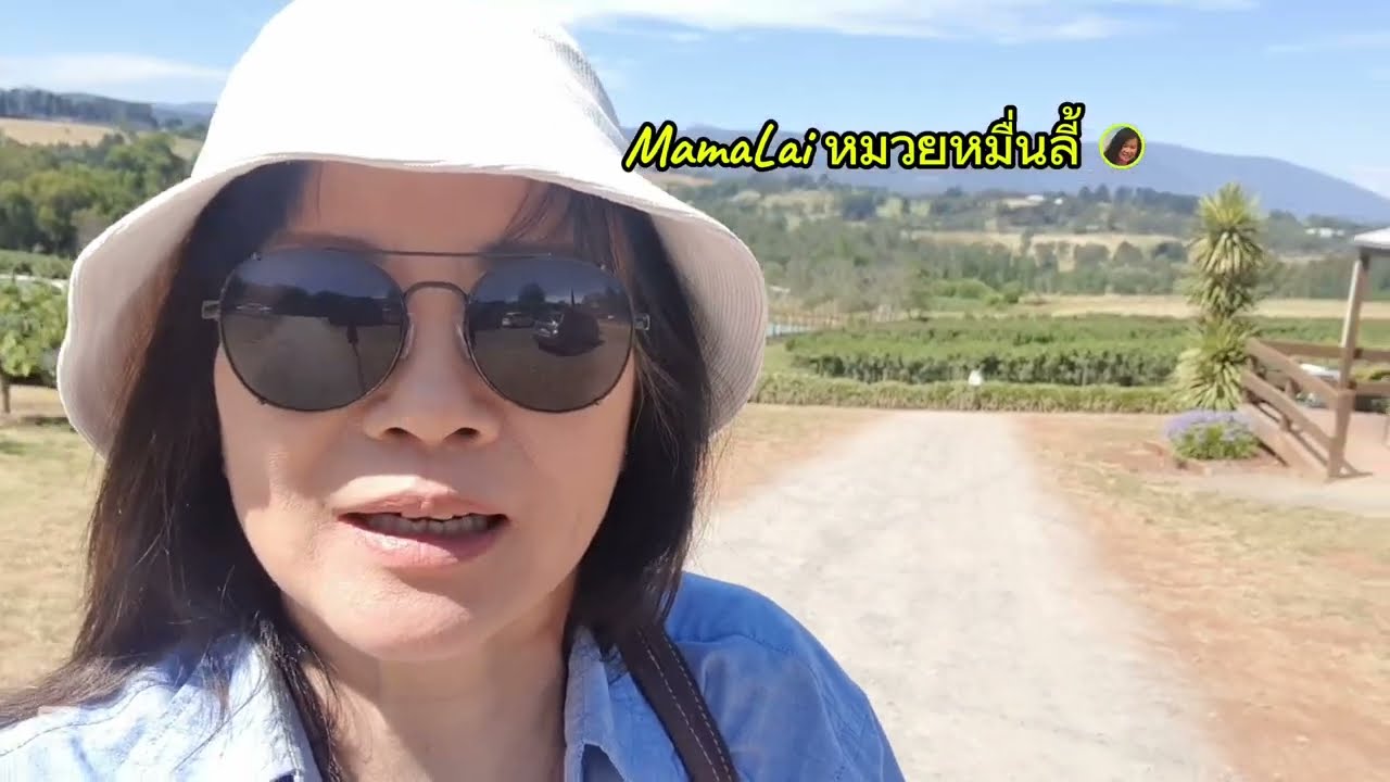 อุณหภูมิ 40องศา ไป #เชอรี่ฟาร์ม บนเขาในวันหยุด #เก็บผลไม้ #มาม่าไล้หมวยหมื่นลี้ 