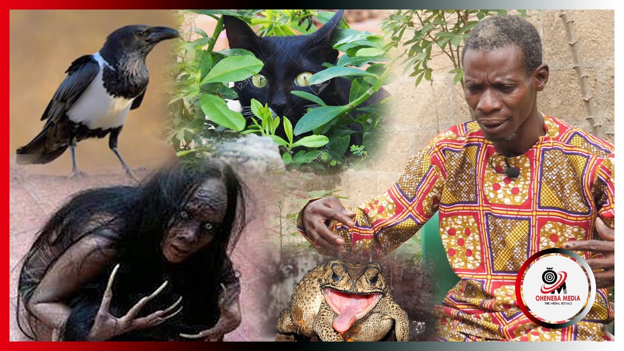 The Untold Mystery About “Kwakwadobi”:Never Joke With Those Animals Becos They Can Make or Destroy..