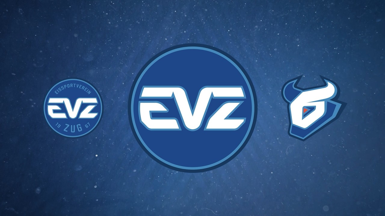 The new EVZ Logo is here! (english version)