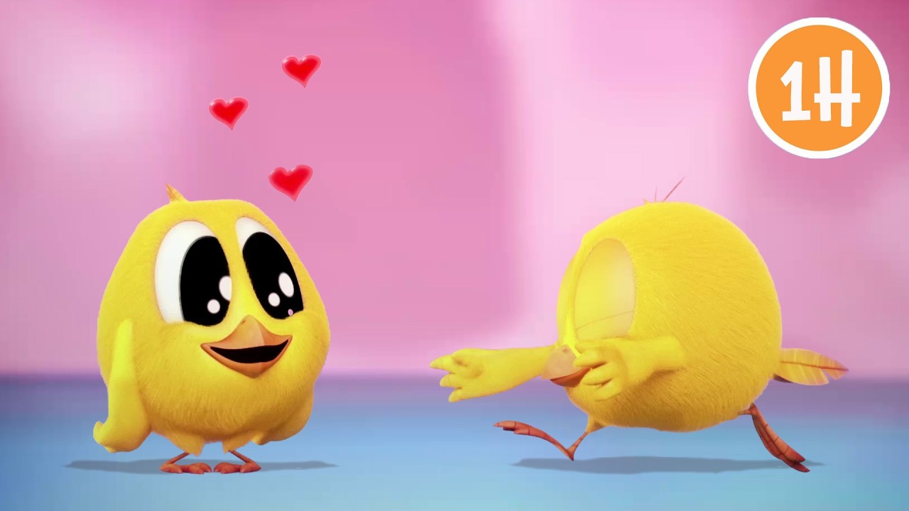 ¡Chicky se enamora! 🩷¿Dónde está Chicky? 🐥 Dibujos Animados en Español