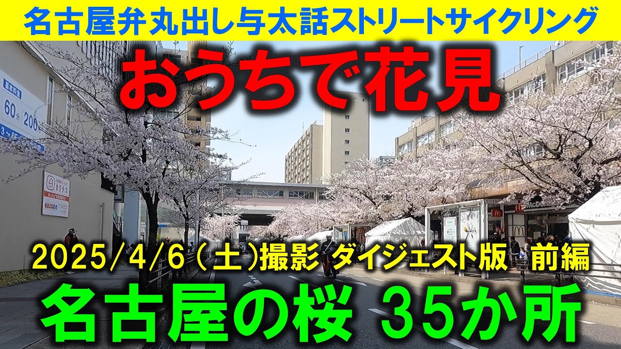 【365日 名古屋旅】名古屋市内各地の桜ダイジェスト版前編。天気の悪い日曜日は、おうちでお花見。２日連続で市内各地のお花見を満喫できる動画をアップします。2025年4月6日（土）撮影。No.943
