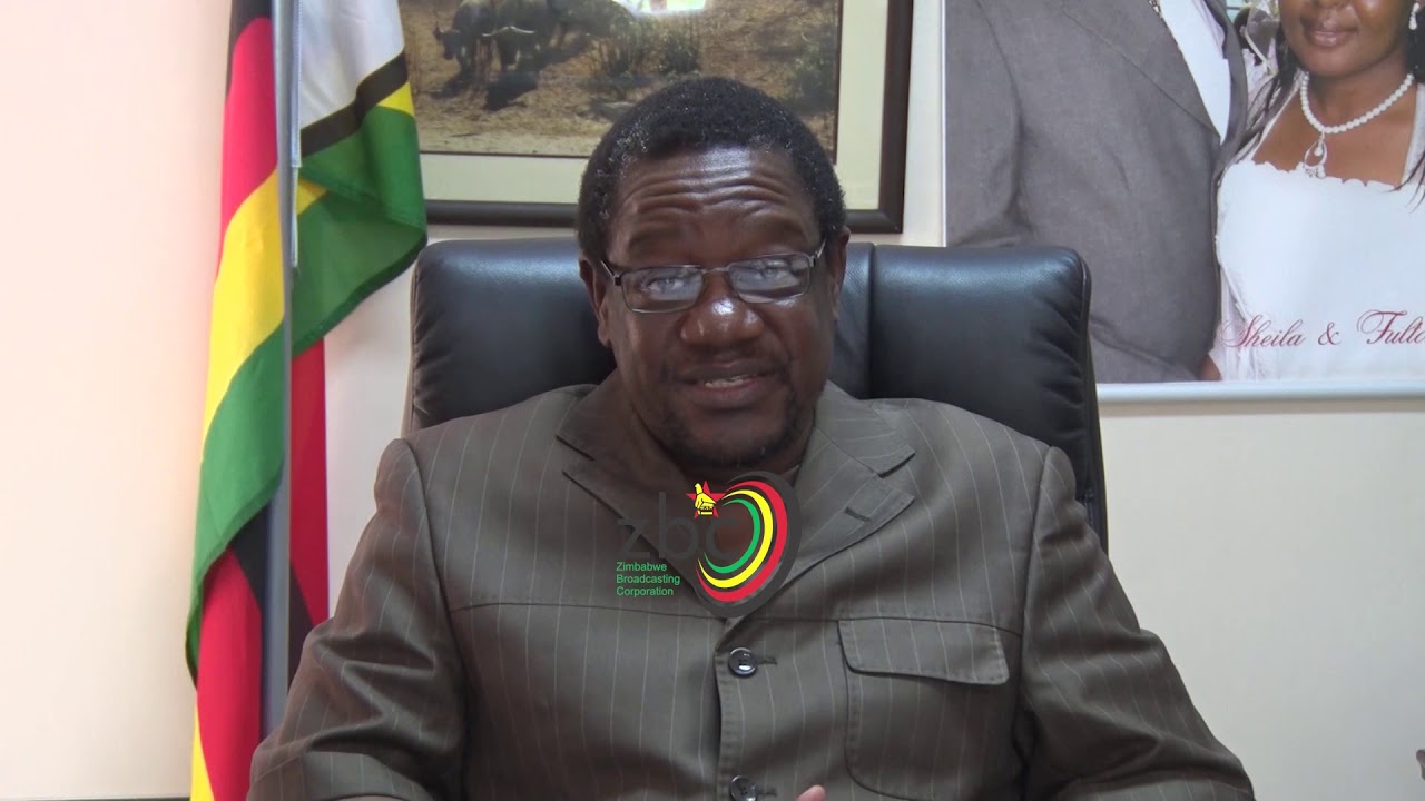Zimbabwe National Parks and Wildlife Authority records decrease in elephant poaching