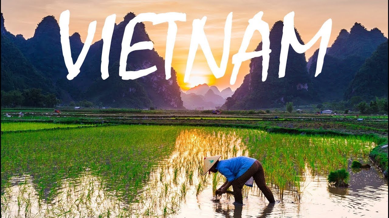 This is Why You Should Travel to VIETNAM