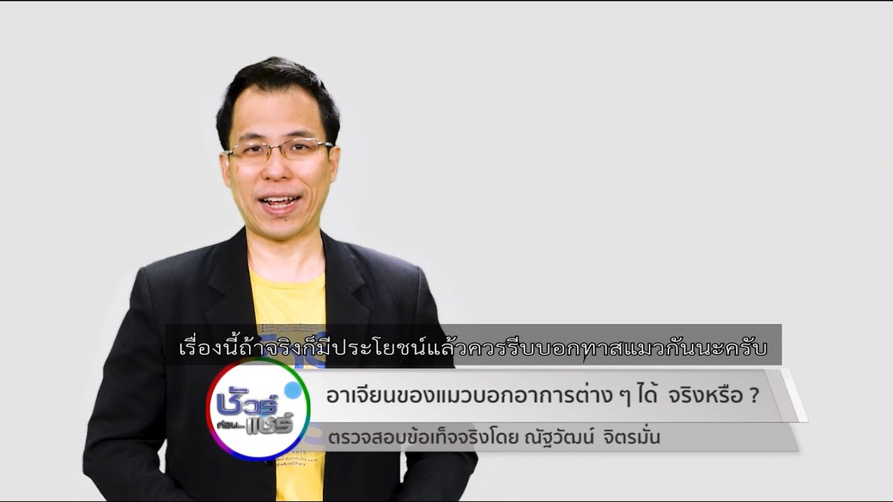 ชัวร์ก่อนแชร์ : อาเจียนของแมว บอกอาการต่าง ๆ ได้ จริงหรือ ?
