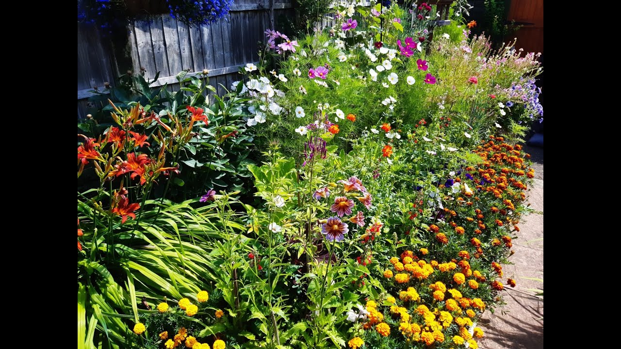 My Garden. 21st June 2025