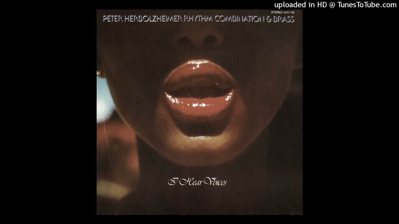 Peter Herbolzheimer Rhythm Combination & Brass - November (Germany, 1978) #fusion #theme