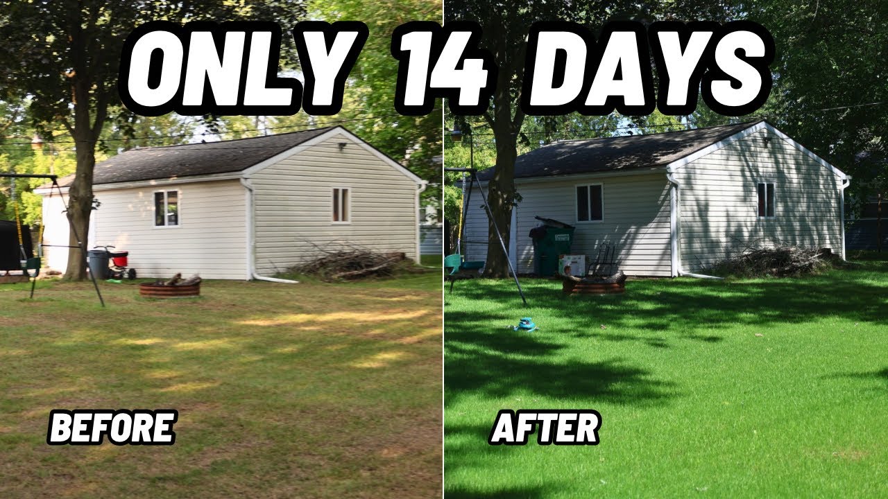 Going from LAME to LUSH in 14 days with SEED