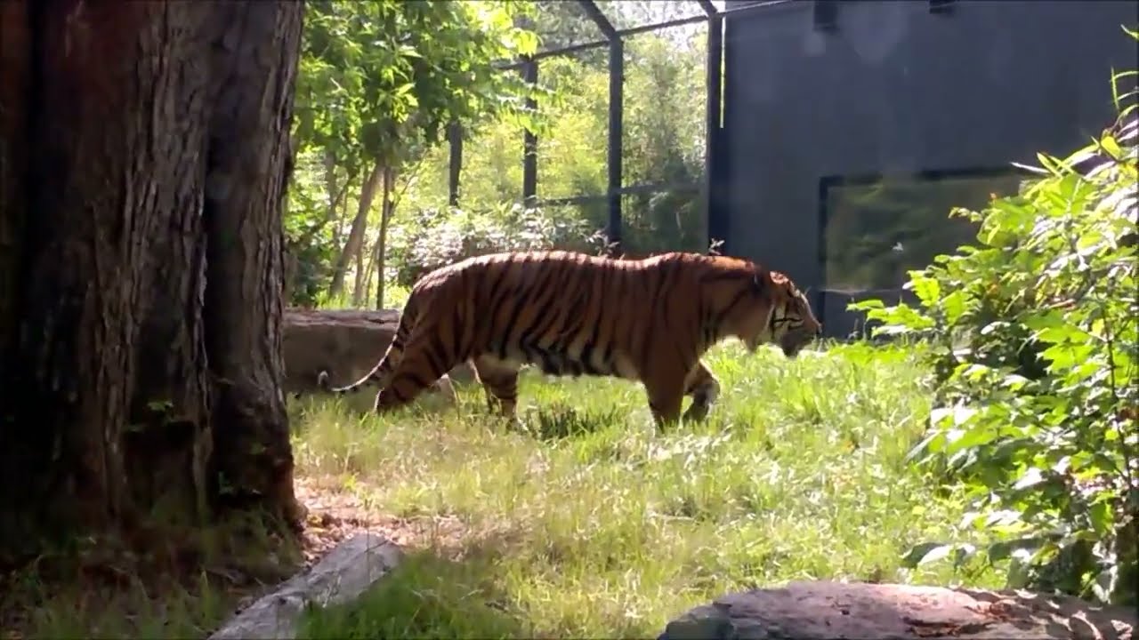 Zoo Amiens Mai 2022