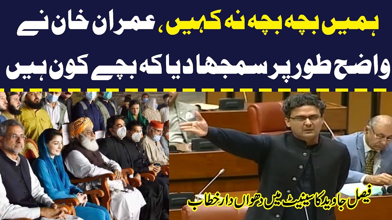 Senator Faisal Javed bashes PMLN | Speech in Senate today
