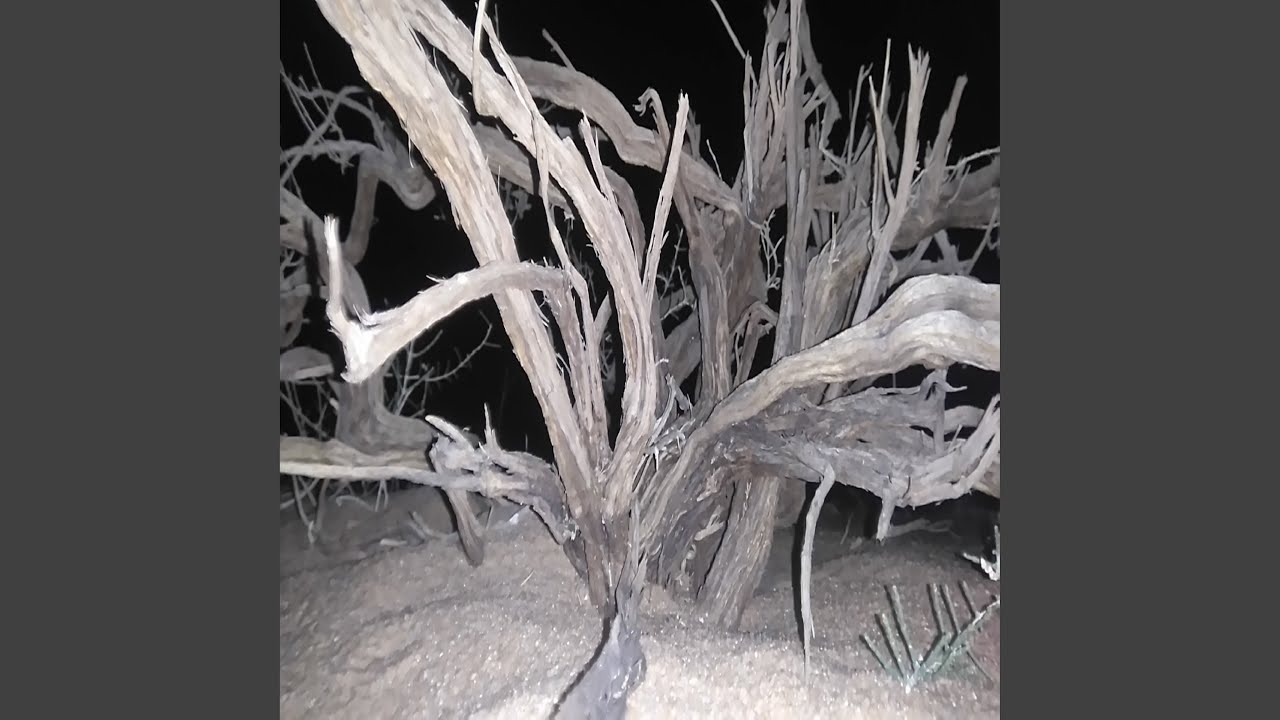لعب شهري