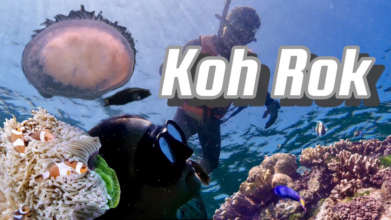 Best Snorkelling in Thailand 🪸🐠 | Koh Rok, Trang 2024
