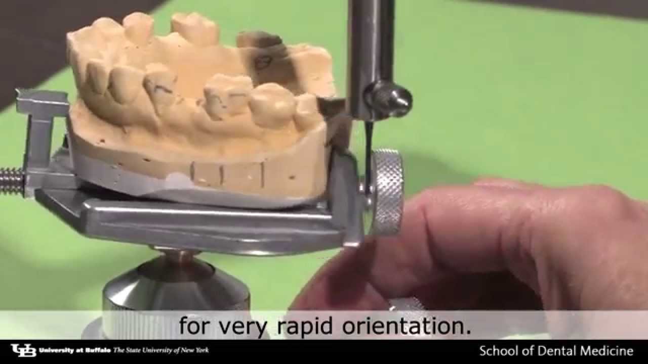 Dental Surveyor