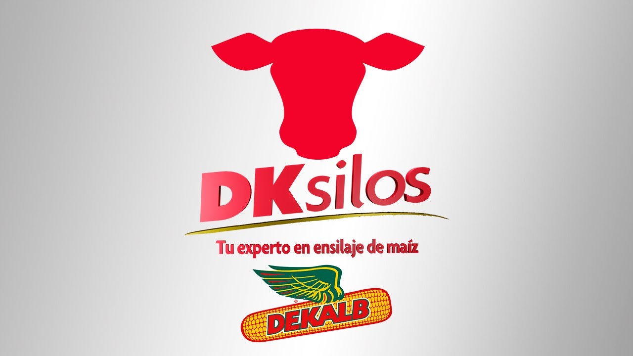 DKsilos | V&iacute;deo Institucional
