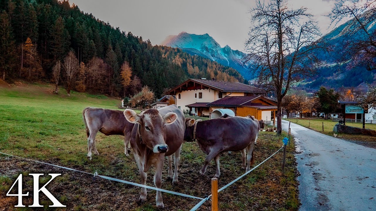Autumn Walk through Mayrhofen in the Zillertal Valley 🍂 Sunset 🌄 and Alpine Ambience 🏔️ ASMR 4K