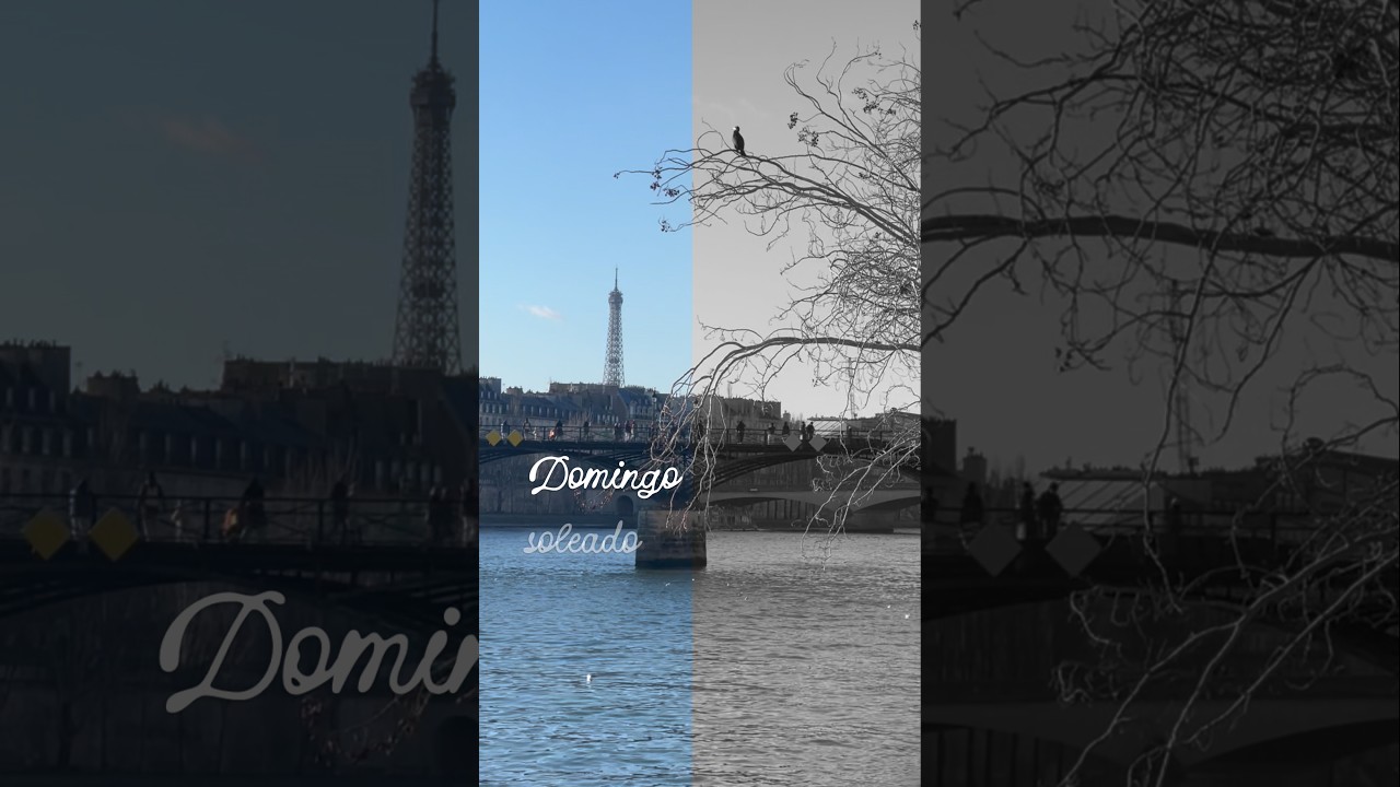 Domingo con Sol en Paris