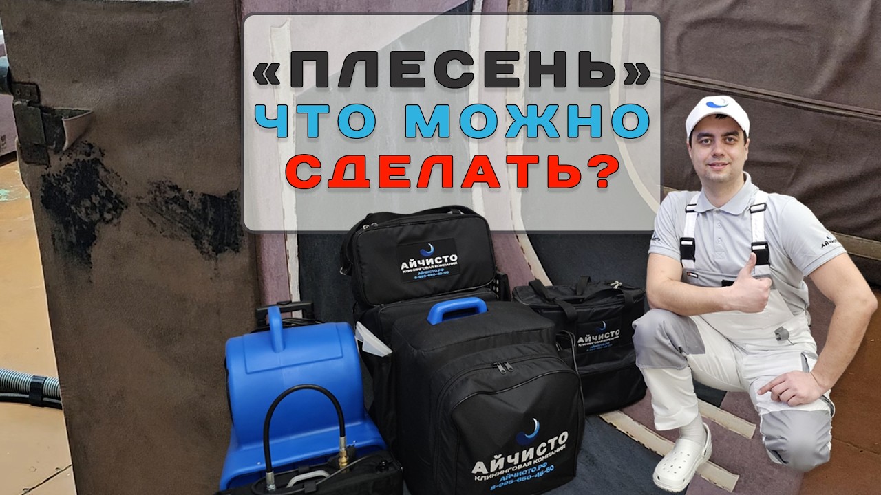 Химчистка дивана с плесенью и следами мочи. Как же быть?