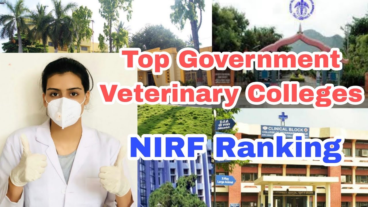 Top Government Veterinary Colleges in India according to NIRF Ranking!!