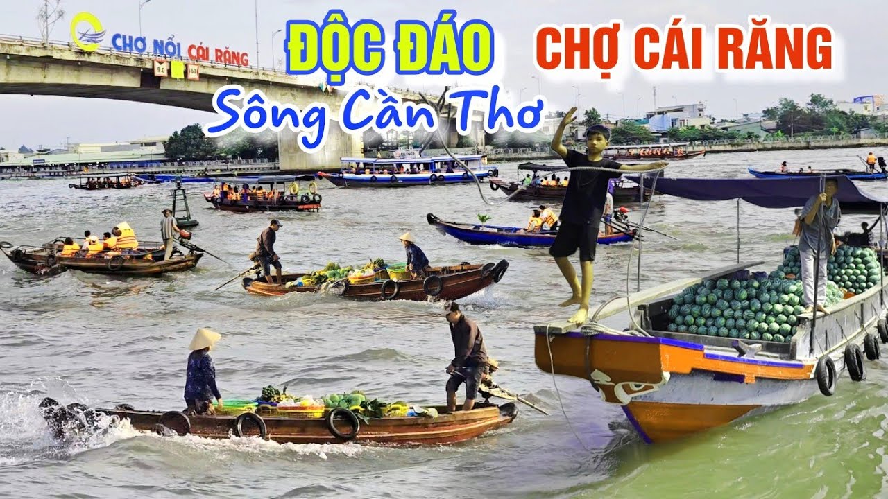 NGỠ NGÀNG TRÊN SÔNG CẦN THƠ - SÔI NỔI TRÊN BẾN DƯỚI THUYỀN CHỢ CÁI RĂNG