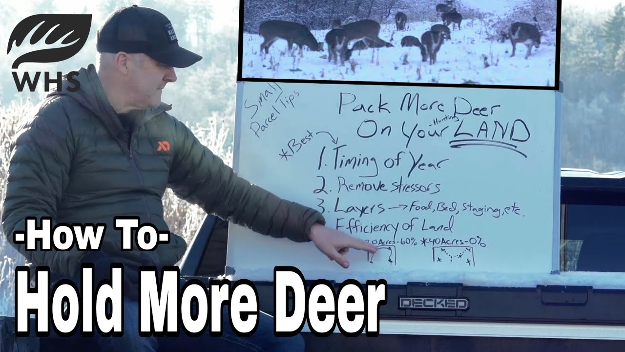 Hold More Deer On Your Small Parcel