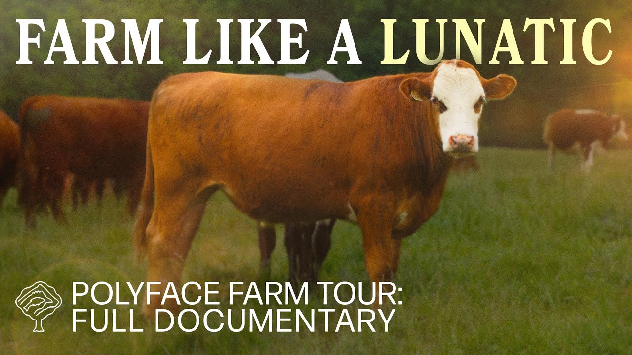 Farm Like A Lunatic: Polyface Farm Tour with Joel Salatin | FULL Documentary