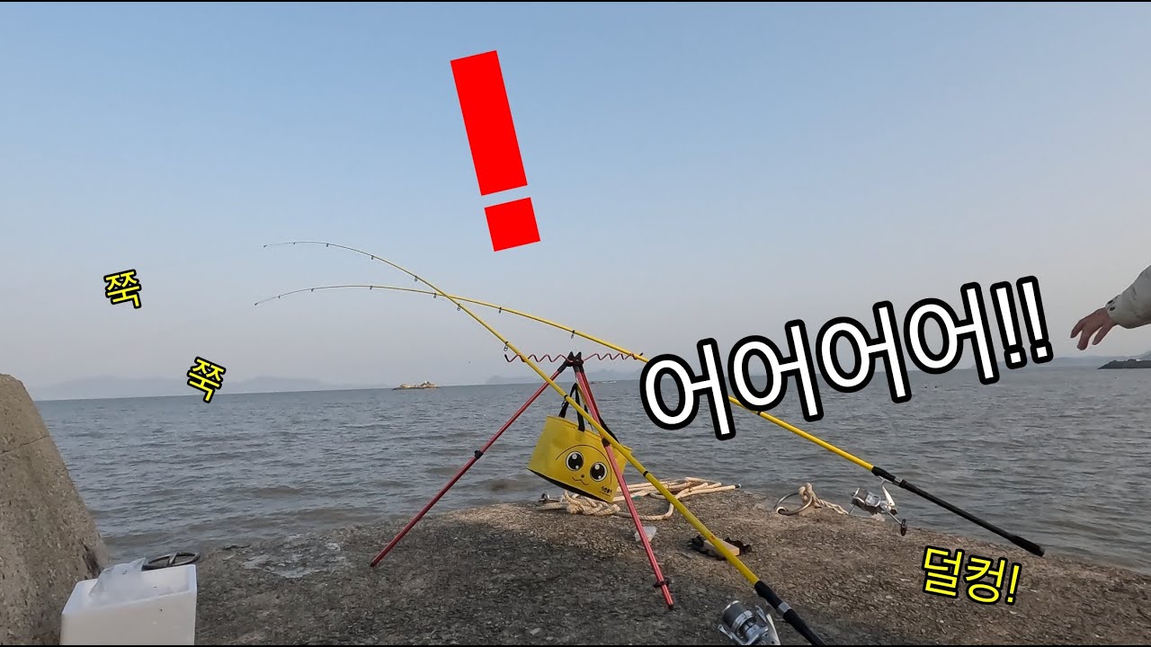 흙탕물?로 뒤덥힌 갈색 바다.. 그런데 계속되는 입질! 입질! 순식간에 낚시대를 끌고 가버리는 힘 좋은 녀석들! 이거 남자한테 좋다는..;;