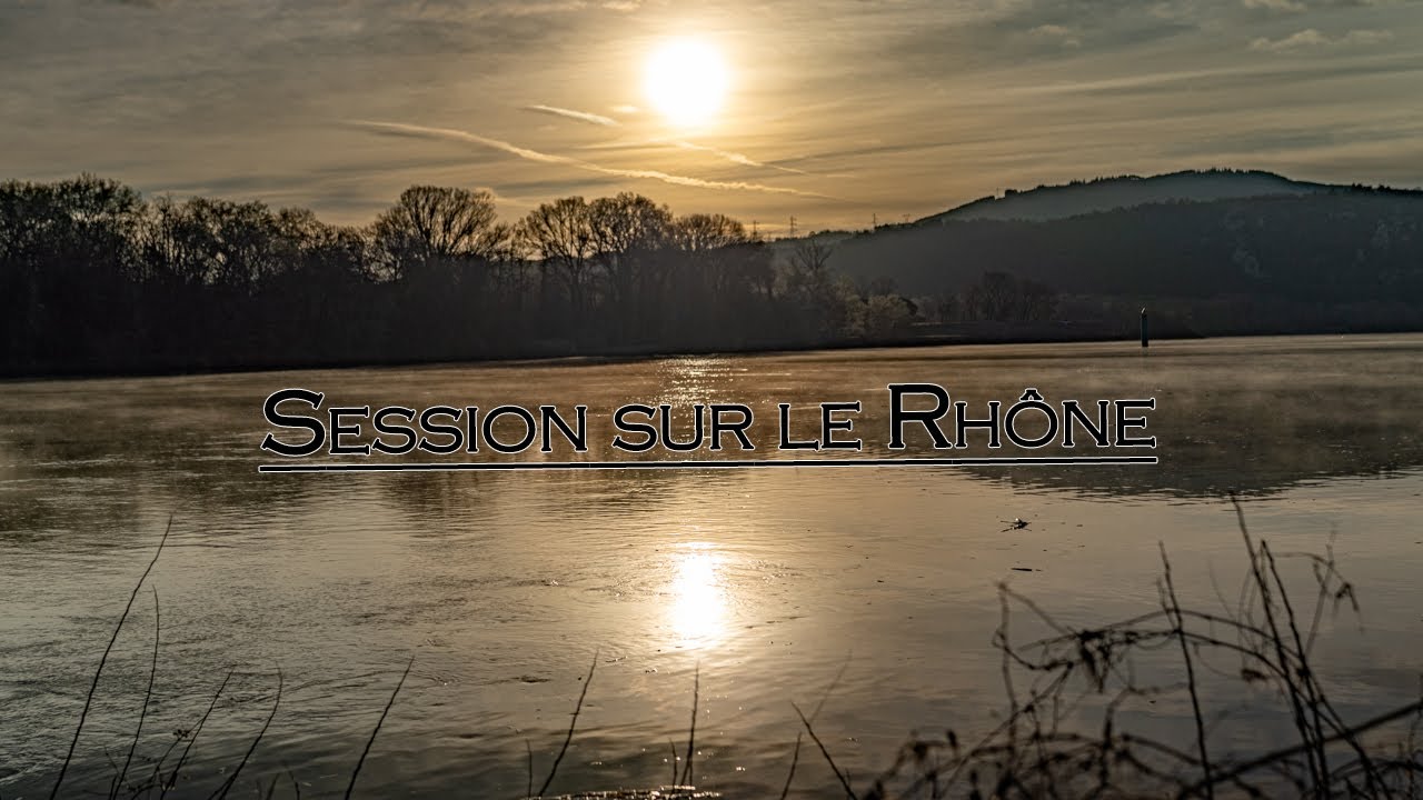Première session de l'année sur le Rhône, en crue ~ Pêche de la carpe