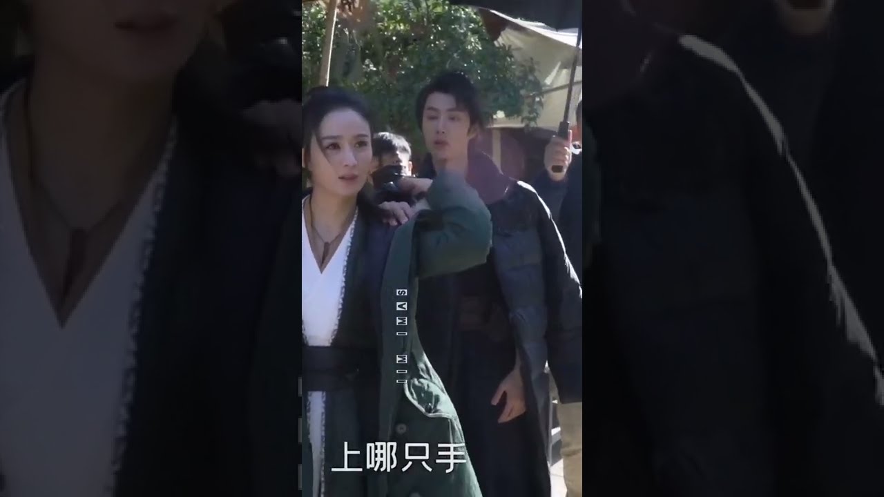 WangYibo ZhaoLiying 🦁🐰 WangZhao 💛💚 #Lof YunFei couple 👫🌸🌼