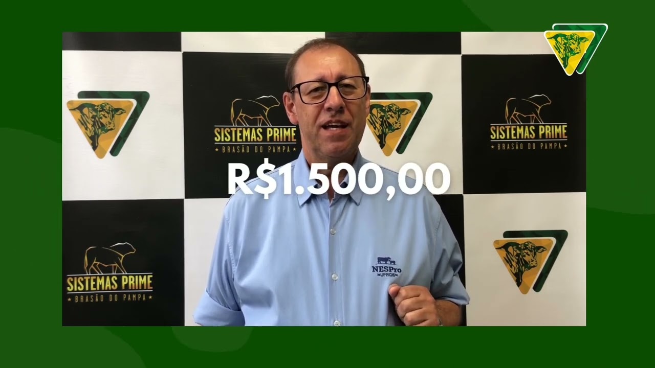 S&eacute;rie TERNEIRO PESADO - Com Prof. J&uacute;lio Barcellos. EPIS&Oacute;DIO II - Custo por kg de Terneiro Desmamado