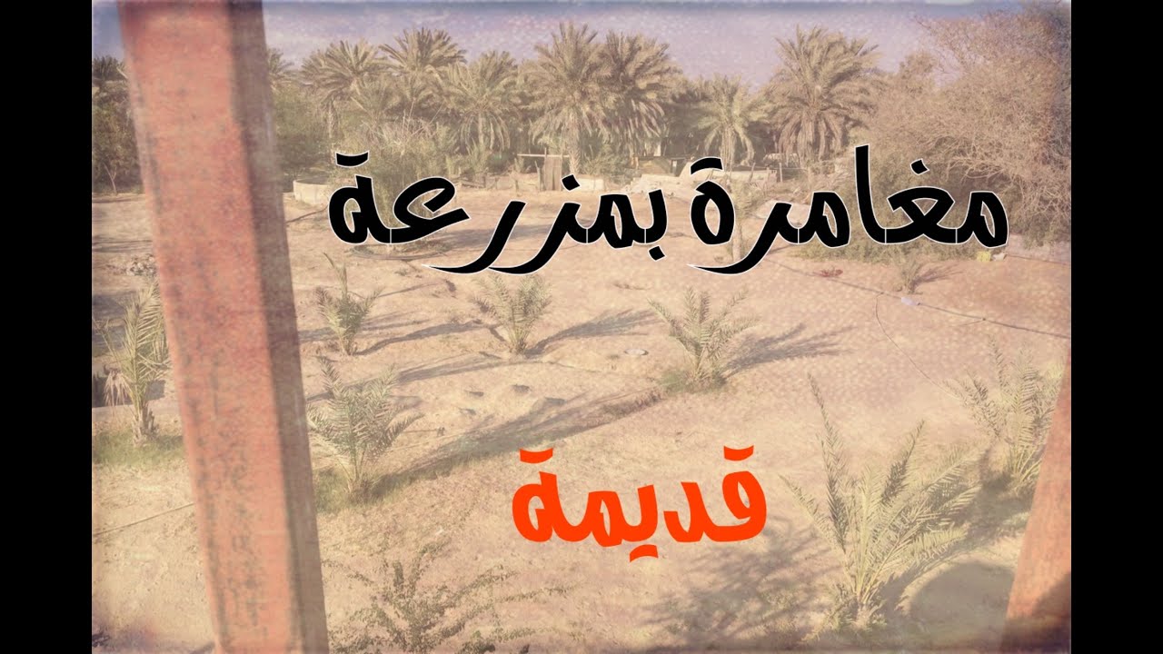 مغامرة غريبة في مزرعة قديمة قرب تبوك #قصص#حقيقية#قصة#واقعية#جن#رعب