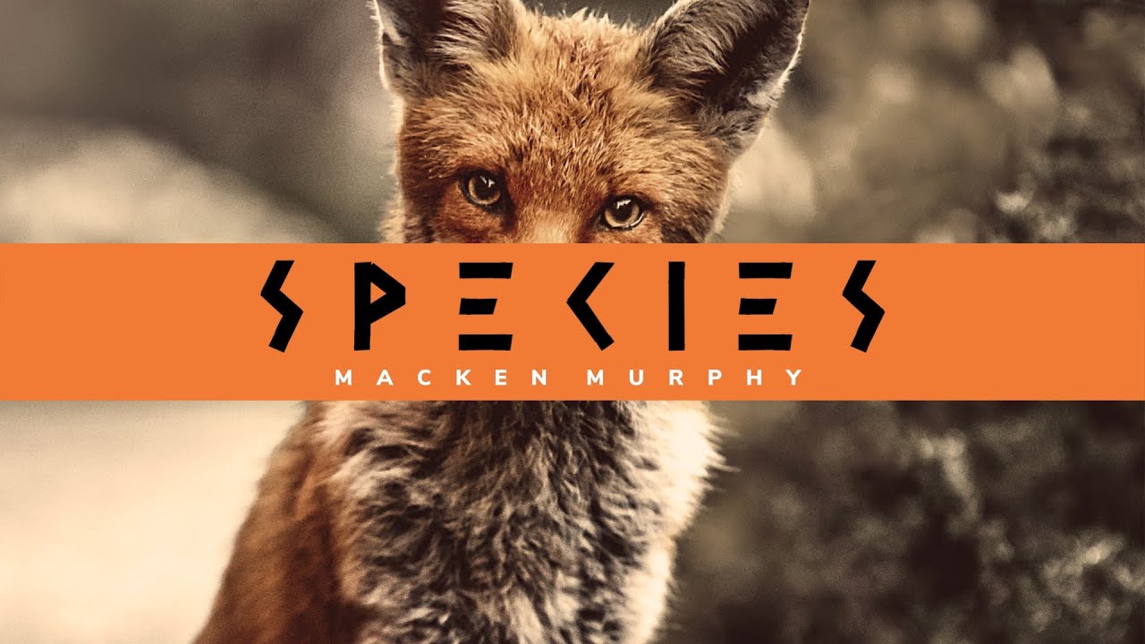Docility and the Death Penalty | Dr. Richard Wrangham | Species Podcast