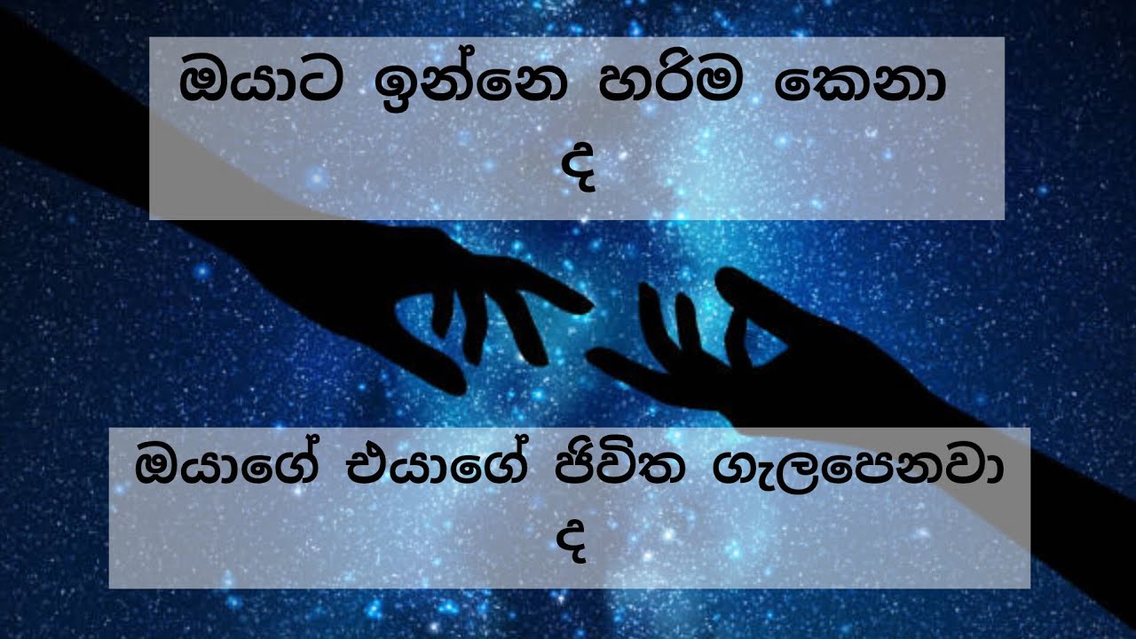 ❤️ඔයාගේ වර්තමාන ආදරයද හරිම කෙනා😱විශ්ව මාතවගේ #tarot පණිවිඩය ❤️