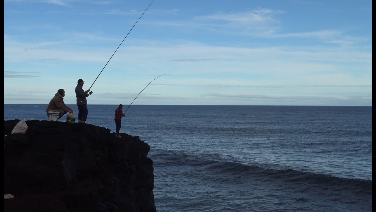 Fishing video / الصيد الصخور / Pesca Sargo / Pesca saraghi / Rock fishing / Ψάρεμα βράχου /דיג סלעים