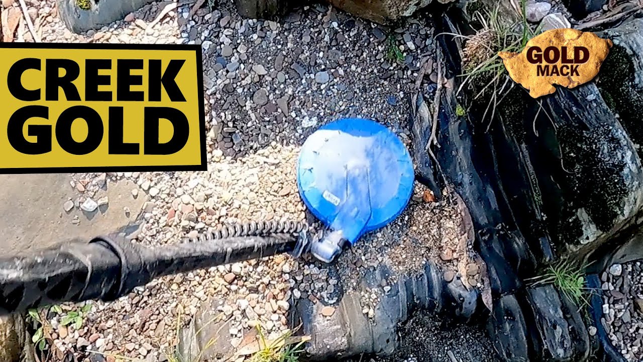 Finding Creek Gold with the SDC 2300 Metal Detector & Gold Pan