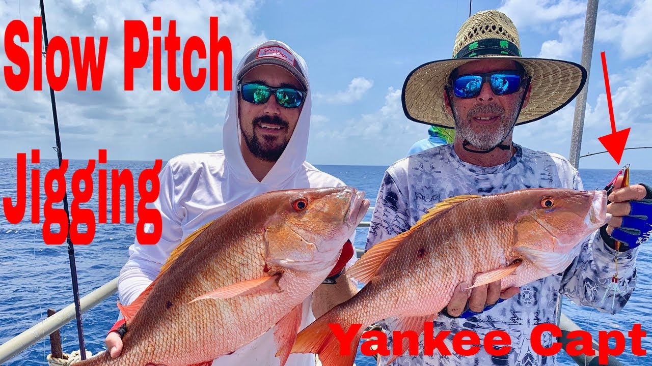 Slow Pitch Jigging | Yankee Capt NO BAIT | Grouper Mutton Hambone Snapper