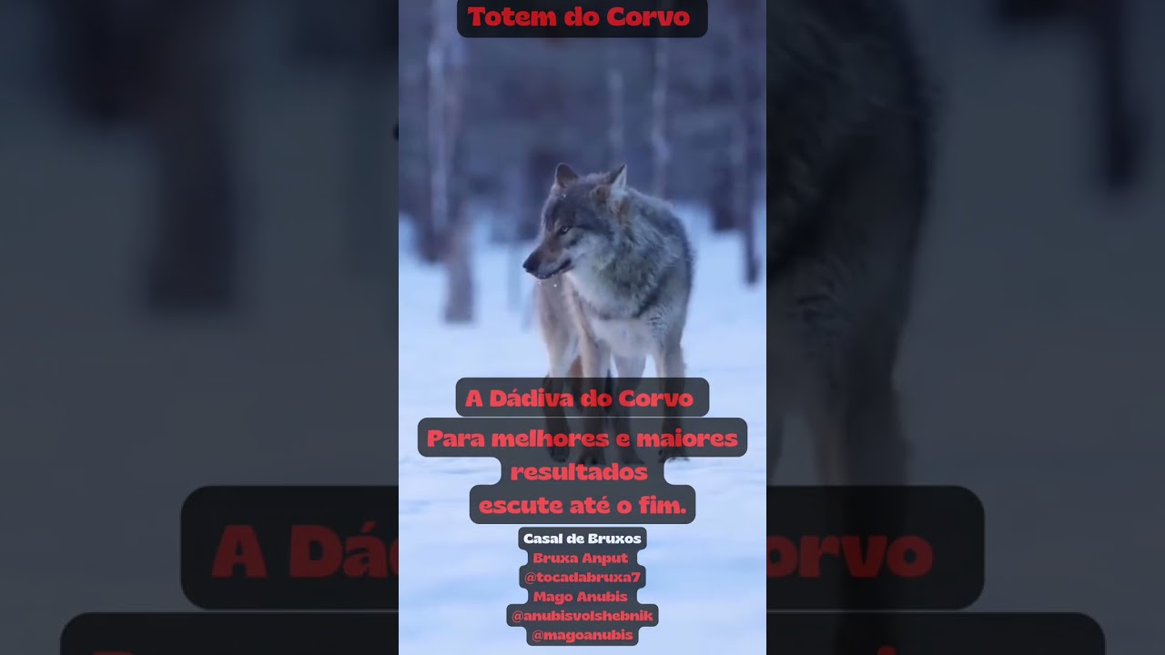 🔮✨ Ative o Arqu&eacute;tipo do Corvo🎵 M&uacute;sica: A D&aacute;diva do Corvo 🖤