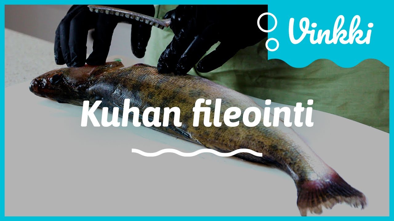 Kuhan fileointi: Nahallinen kuhafile | Kalan käsittely