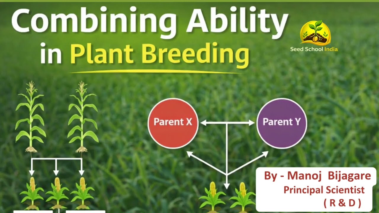 Combining Ability in Plant Breeding | GCA vs SCA Explained