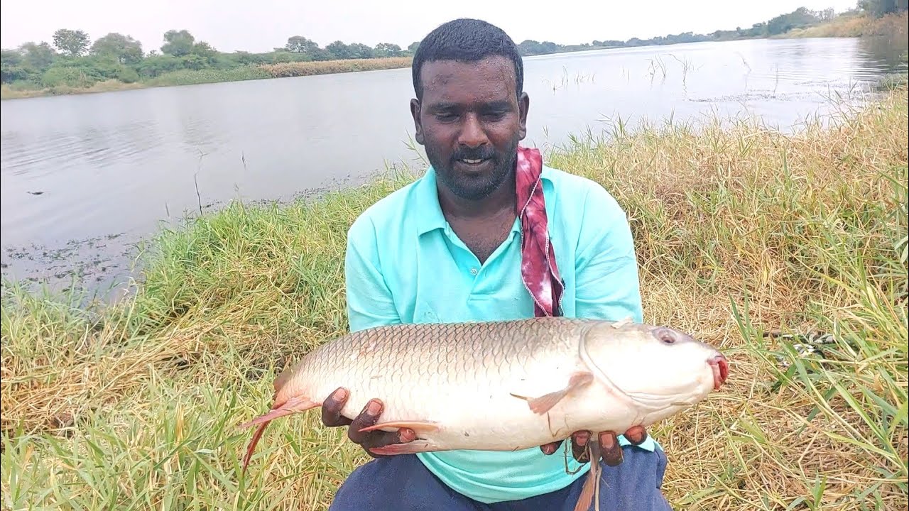 Hook Fishing | River Fish hunting | LDR Fishing Videos