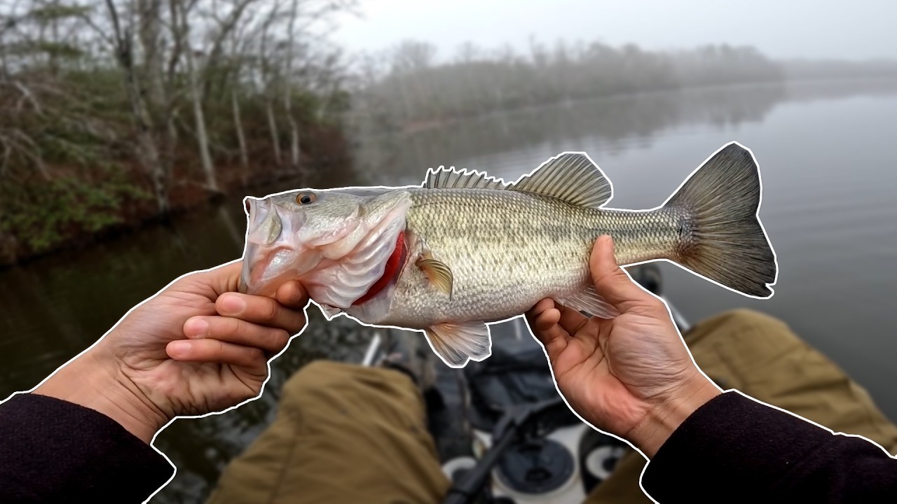 Cool Weather Kayak Fishing for Largemouth Bass
