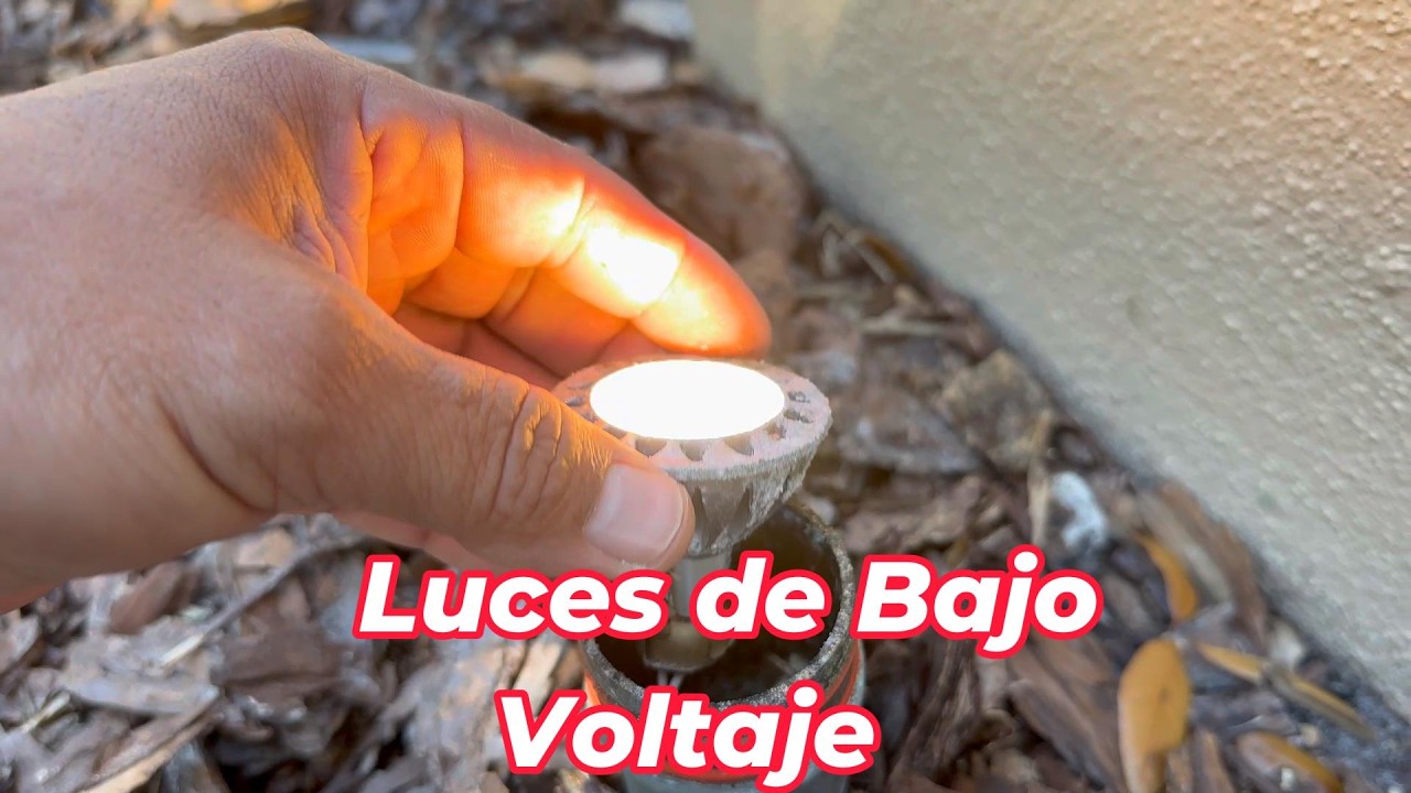 Luces de bajo voltaje