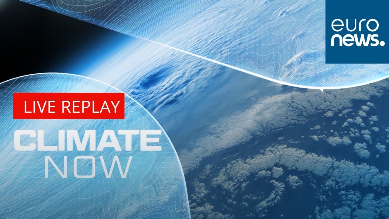 How climate change threatens the health of Europeans - We answer your questions