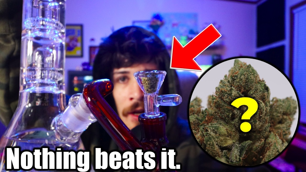 This is the ONE Strain I Never Get Tired Of.