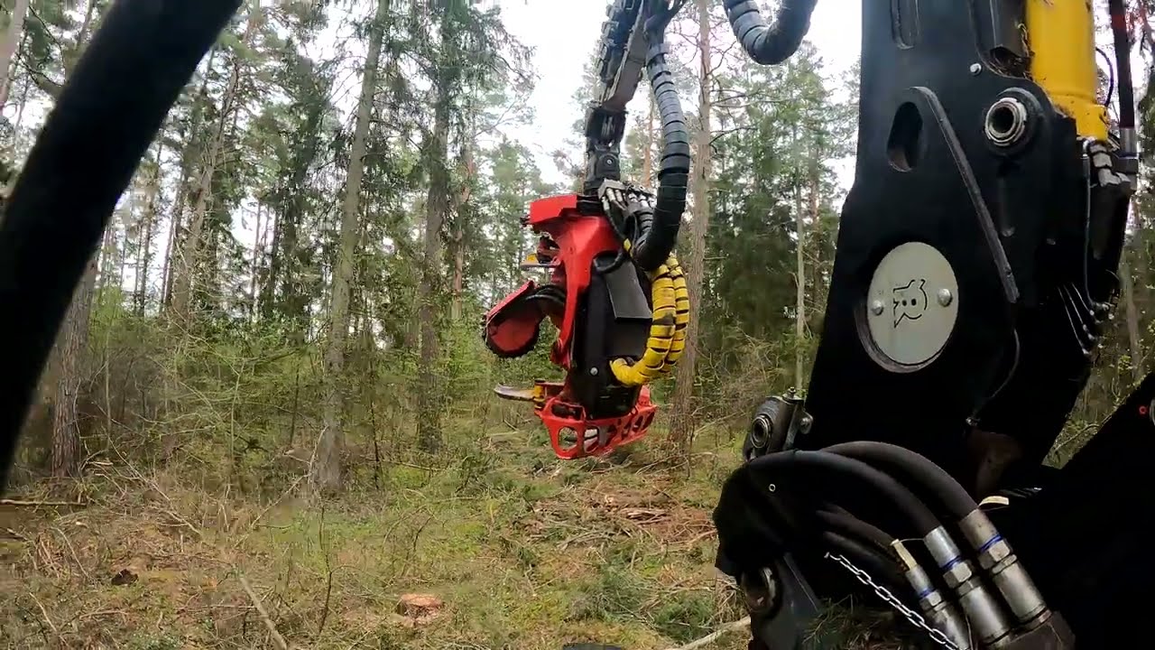 4K/Rottne H11D skördare avverkar 22 April 2025