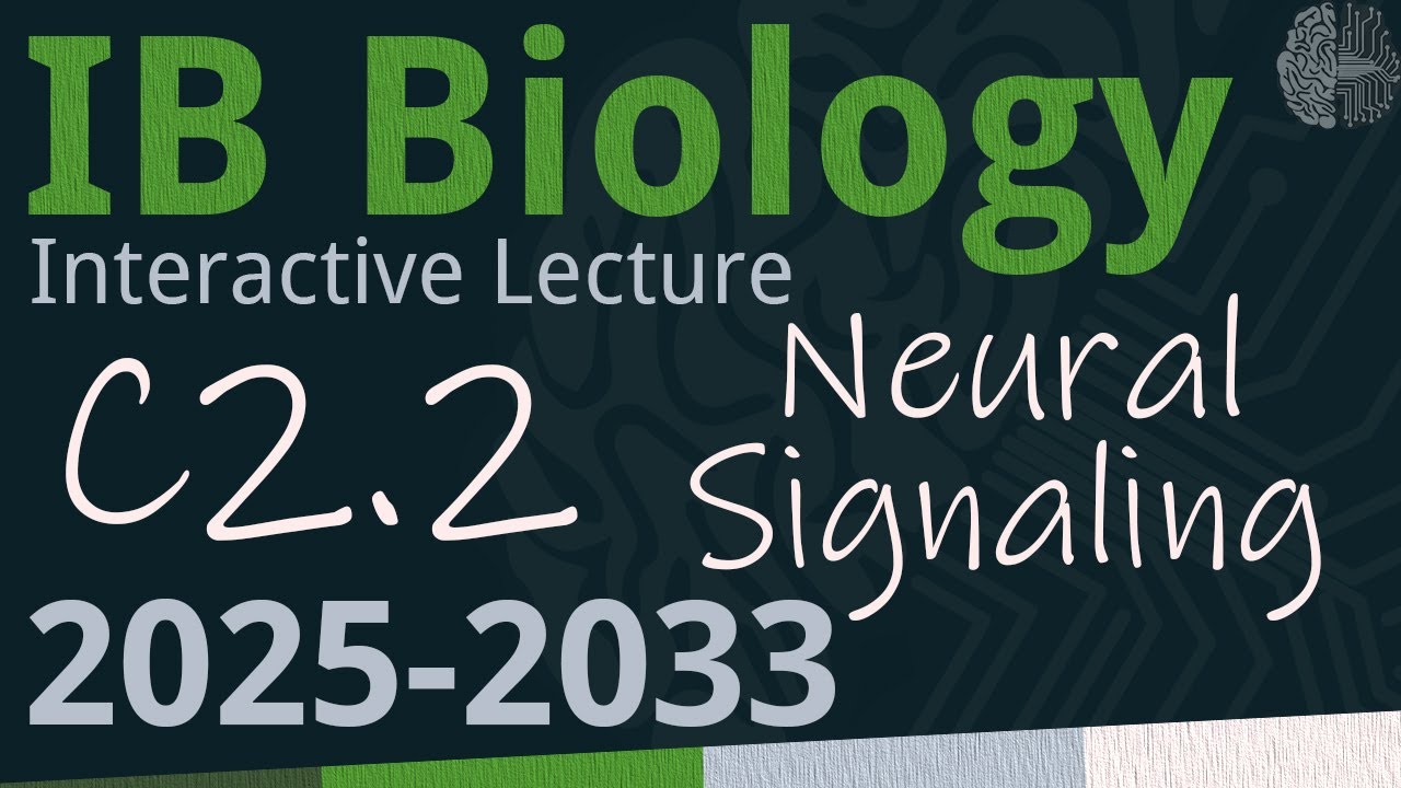 IB Biology C2.2 - Neural Signaling [SL/HL] - Interactive Lecture 2025-2033
